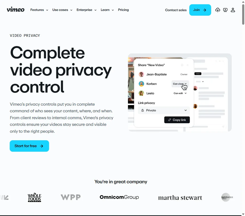 Vimeo privacy controls - domain restrictions and access settings for course creators